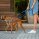 Rogz Utility Stop-Pull postroj čierny veľ. M