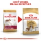 Royal Canin BHN Cavalier King Charles Adult 1,5 kg