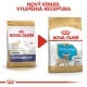 Royal Canin BHN Chihuahua Puppy 500 g