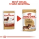 Royal Canin BHN Dachshund kapsičky 12x 85 g