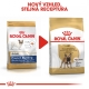 Royal Canin BHN French Bulldog Adult 3 kg