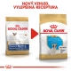 Royal Canin BHN French Bulldog Puppy 3 kg