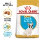 Royal Canin BHN French Bulldog Puppy 3 kg