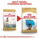 Royal Canin BHN German Shepherd Puppy 12 kg