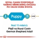 Royal Canin BHN German Shepherd Puppy 12 kg