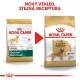 Royal Canin BHN Golden Retriever Adult 12 kg
