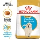 Royal Canin BHN Golden Retriever Puppy 12 kg