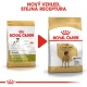 Royal Canin BHN Great Dane Adult 12 kg