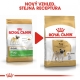 Royal Canin BHN Mops Adult 1,5 kg