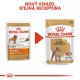 Royal Canin BHN Poodle kapsičky 12x 85 g