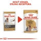 Royal Canin BHN Yorkshire kapsičky 12x 85 g
