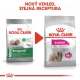 Royal Canin CCN Exigent Mini 3 kg