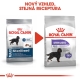 Royal Canin CCN Maxi Sterilised Adult 12 kg