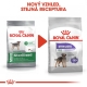 Royal Canin CCN Sterilised Mini 3 kg