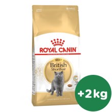 Royal Canin FBN British Shorthair Adult 10 kg