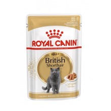 Royal Canin FBN British Shorthair Adult kapsičky 12x 85 g