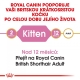 Royal Canin FBN British Shorthair Kitten 10 kg