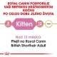Royal Canin FBN British Shorthair Kitten 10 kg