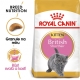 Royal Canin FBN British Shorthair Kitten 10 kg