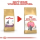 Royal Canin FBN British Shorthair Kitten 2 kg