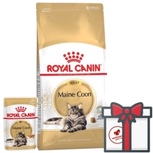 Royal Canin FBN Maine Coon Adult 10 kg