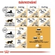 Royal Canin FBN Maine Coon Adult 2 kg