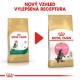 Royal Canin FBN Maine Coon Kitten 2 kg