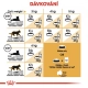 Royal Canin FBN Persian Adult 4 kg