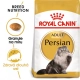 Royal Canin FBN Persian Adult 4 kg