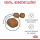 Royal Canin FCN Dental Care 1,5 kg