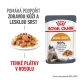 Royal Canin FCN Hair & Skin in Jelly kapsičky 12x 85 g