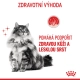 Royal Canin FCN Hair & Skin in Jelly kapsičky 12x 85 g