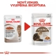 Royal Canin FHN Ageing (+12) kapsičky 12x 85 g