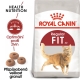 Royal Canin FHN Fit 10 kg