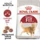 Royal Canin FHN Fit 400 g