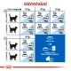 Royal Canin FHN Indoor 2 kg