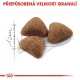 Royal Canin FHN Indoor 4 kg