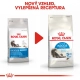 Royal Canin FHN Indoor Long Hair 2 kg
