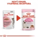 Royal Canin FHN Instinctive Kitten in Gravy kapsičky 12x 85 g