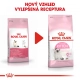 Royal Canin FHN Kitten 10 kg