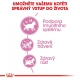 Royal Canin FHN Kitten 10 kg