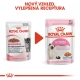 Royal Canin FHN Kitten Instinctive in Jelly kapsičky 12x 85 g