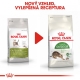 Royal Canin FHN Outdoor 10 kg