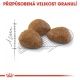 Royal Canin FHN Outdoor (7+) 2 kg