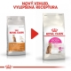 Royal Canin FHN Protein Exigent 400 g