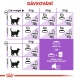 Royal Canin FHN Sterilised 2 kg