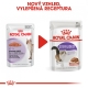 Royal Canin FHN Sterilised in Gravy kapsičky 12x 85 g