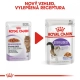 Royal Canin FHN Sterilised in Jelly kapsičky 12x 85 g Royal Canin FHN Sterilised in Jelly kapsičky 12x 85 g
