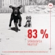 Royal Canin SHN Immunity & Digestion Puppy Supplements 100 g