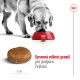 Royal Canin SHN Maxi Adult (5+) 15 kg